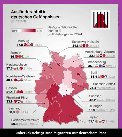 Migrantengewalt_D