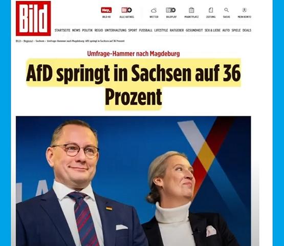 Alice für Deutschland +36%