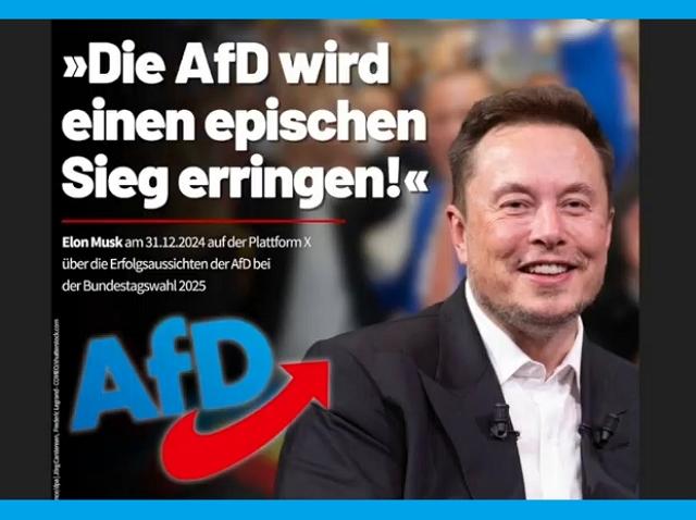 Musk will help the AfD 2025