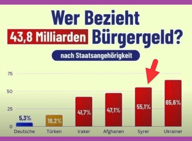 Bürgergeld-an-Migranten 