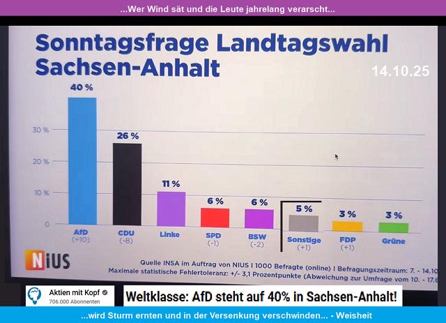 51%-AfD-2026