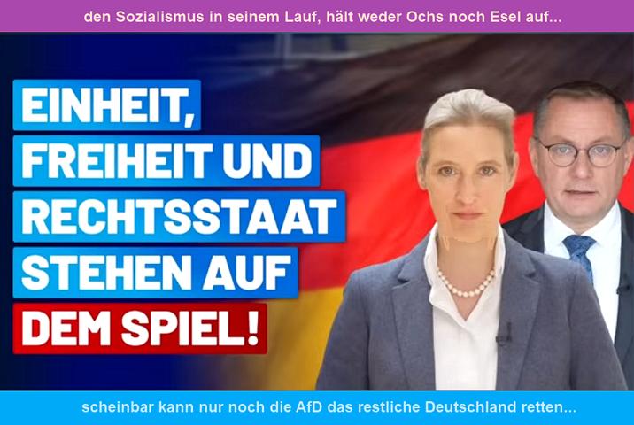 AfD-for-Freedom